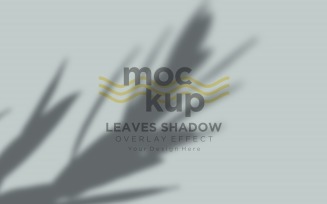 Leaves Shadow Overlay Effect Mockup 443
