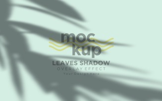 Leaves Shadow Overlay Effect Mockup 445