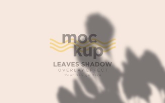 Leaves Shadow Overlay Effect Mockup 459