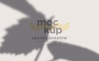Leaves Shadow Overlay Effect Mockup 460