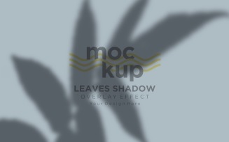 Leaves Shadow Overlay Effect Mockup 464