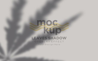 Leaves Shadow Overlay Effect Mockup 467