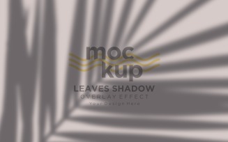 Leaves Shadow Overlay Effect Mockup 471