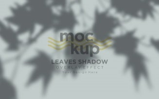 Leaves Shadow Overlay Effect Mockup 473