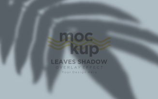 Leaves Shadow Overlay Effect Mockup 474