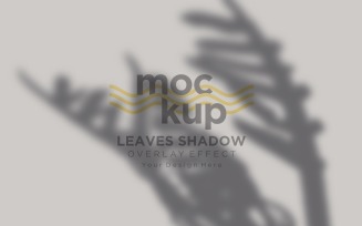 Leaves Shadow Overlay Effect Mockup 477