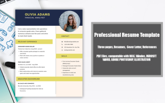 Printable Resume Template PDF Finacial Analyst