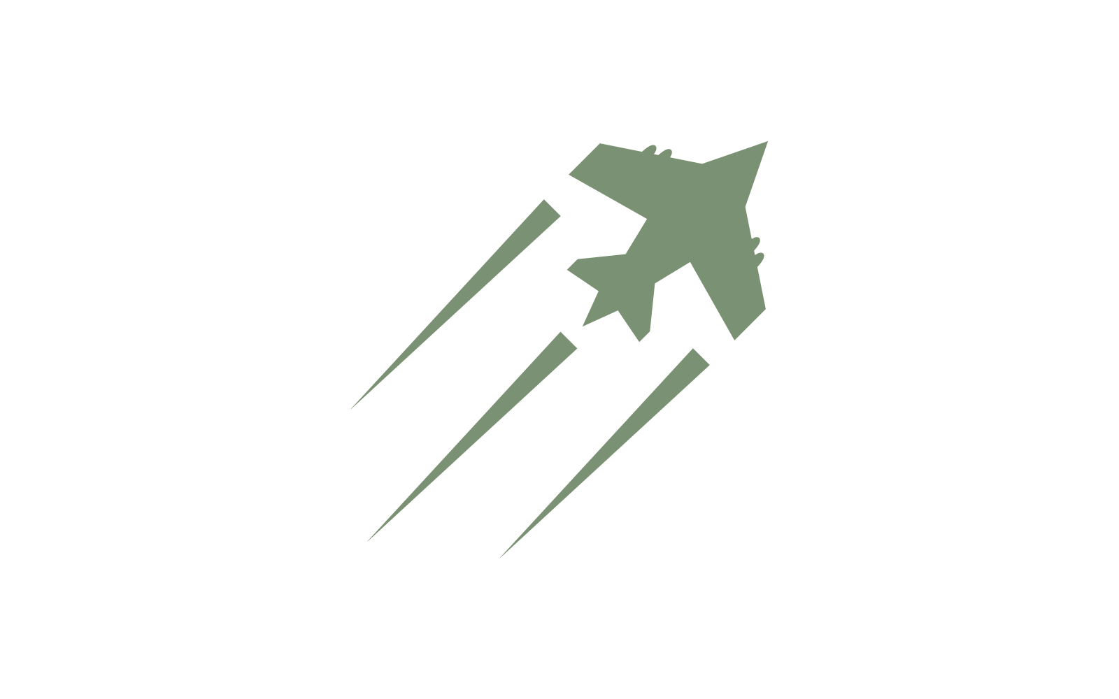 Diseño plano del vector del logotipo militar del avión de la fuerza aérea