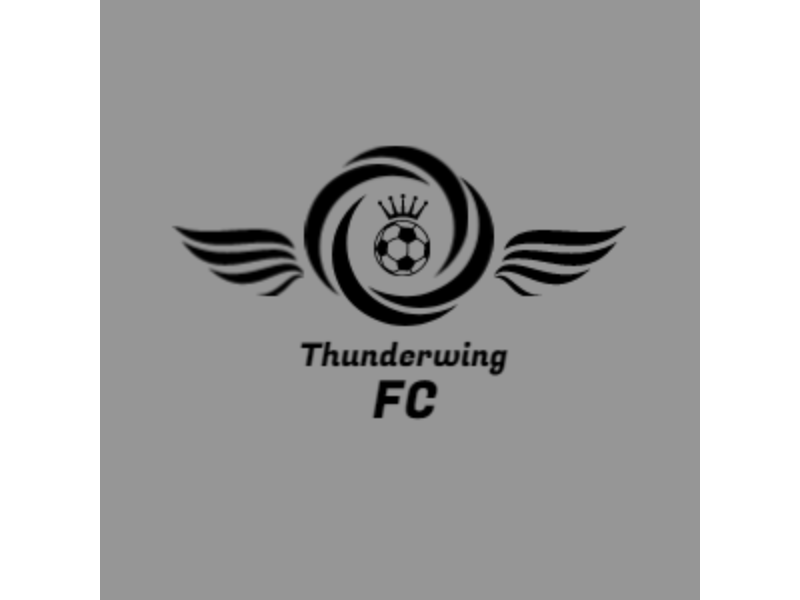 Thunderwing Football Logo