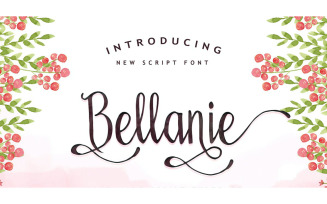 Bellanie Script Font - Bellanie Script Font