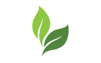 Green leaf ,Nature green tree element template design logo v24