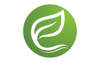 Green leaf ,Nature green tree element template design logo v29
