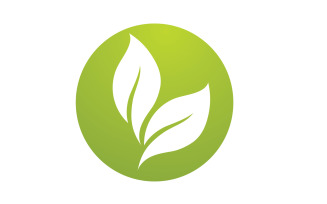 Green leaf ,Nature green tree element template design logo v30