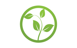 Green leaf ,Nature green tree element template design logo v31