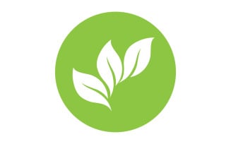 Green leaf ,Nature green tree element template design logo v32