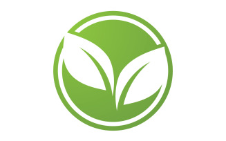 Green leaf ,Nature green tree element template design logo v33