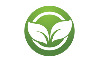 Green leaf ,Nature green tree element template design logo v36