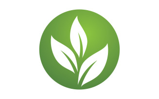 Green leaf ,Nature green tree element template design logo v37