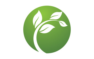 Green leaf ,Nature green tree element template design logo v40