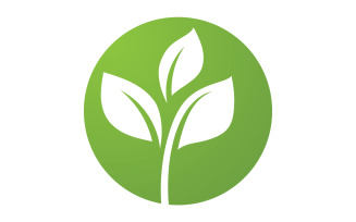 Green leaf ,Nature green tree element template design logo v42