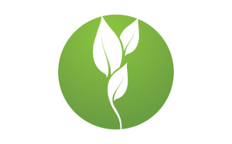 Green leaf ,Nature green tree element template design logo v53