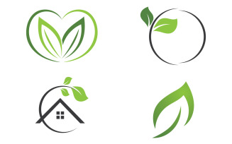 Green leaf ,Nature green tree element template design logo v64