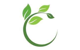 Green leaf ,Nature green tree element template design logo v8