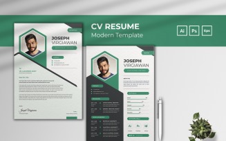 Professional Vacancy CV Resume