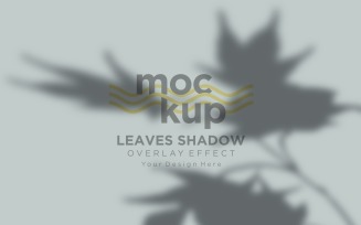 Leaves Shadow Overlay Effect Mockup 484