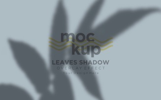 Leaves Shadow Overlay Effect Mockup 485