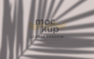 Leaves Shadow Overlay Effect Mockup 492