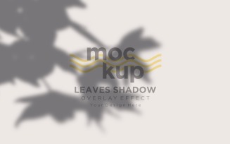 Leaves Shadow Overlay Effect Mockup 491