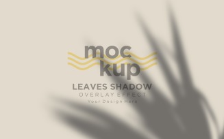 Leaves Shadow Overlay Effect Mockup 497