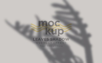 Leaves Shadow Overlay Effect Mockup 498