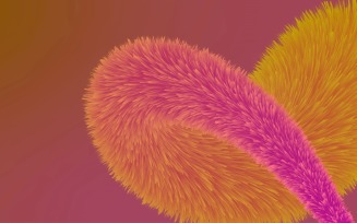 Fur Background Fluffy and soft surface pattern 33