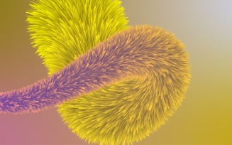 Fur Background Fluffy and soft surface pattern 52