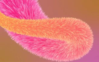 Fur Background Fluffy and soft surface pattern 73