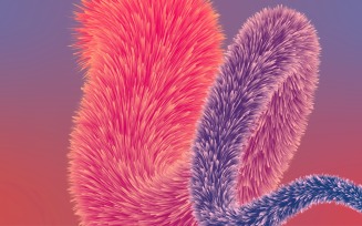 Fur Background Fluffy and soft surface pattern 86