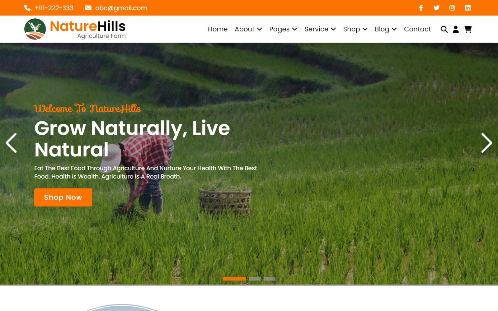 NatureHills - Agriculture Farm HTML5 Website Template