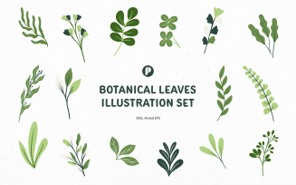 Green botanical leaves illustration set