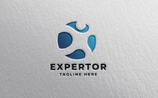 Expert Man Logo Pro Template