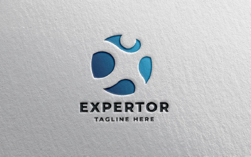 Expert Man Logo Pro Template Logo Template