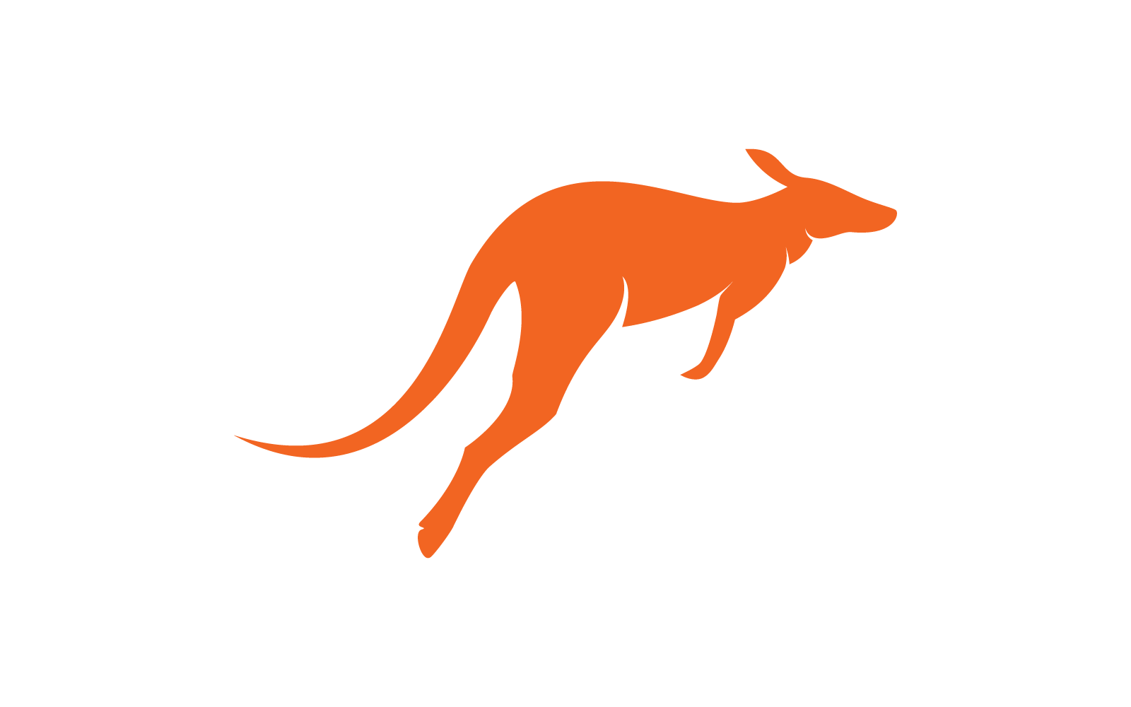 Kangaroo animal illustration logo template vector flat design