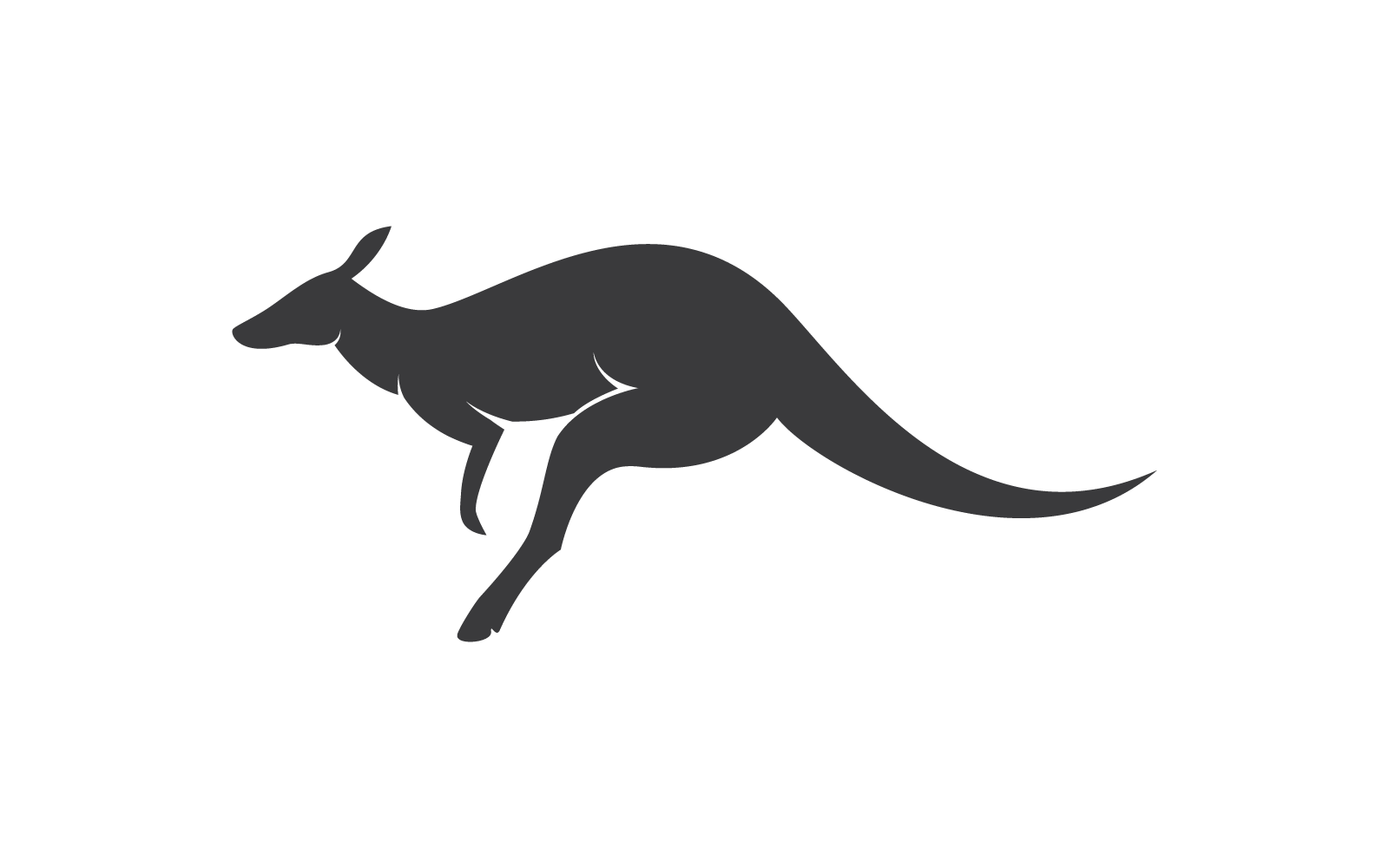 Kanguru illüstrasyon logo vektörü düz tasarımı