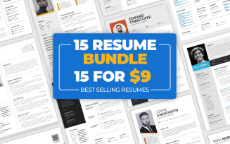 15 Best Resume Template Bundle - Abdul Studio