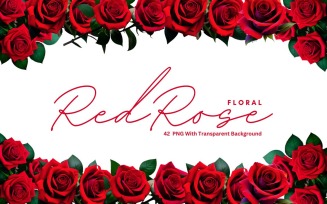 Red Rose Floral Premium PNG Bundle