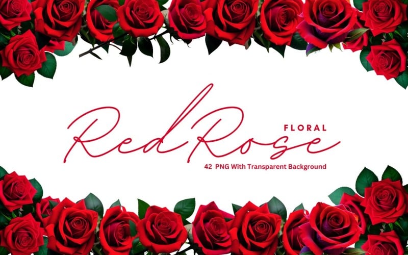 Red Rose Floral Premium PNG Bundle Background