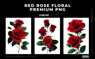Red Rose Floral Premium PNG Vol.1