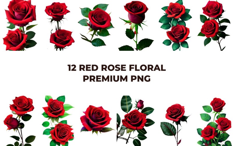 Red Rose Floral Premium PNG Vol.4 Background