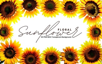 Sunflower Floral Premium PNG Bundle